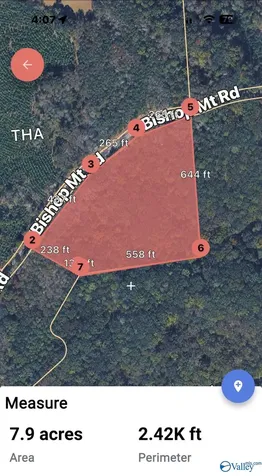8 Acres Bishop Mountain Road Grant AL 35747