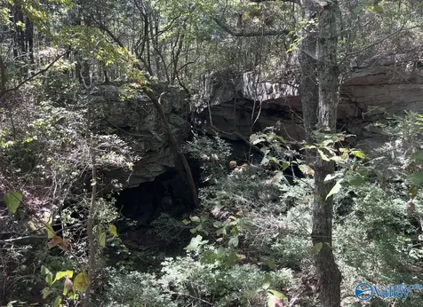 8 Acres Bishop Mountain Road Grant AL 35747