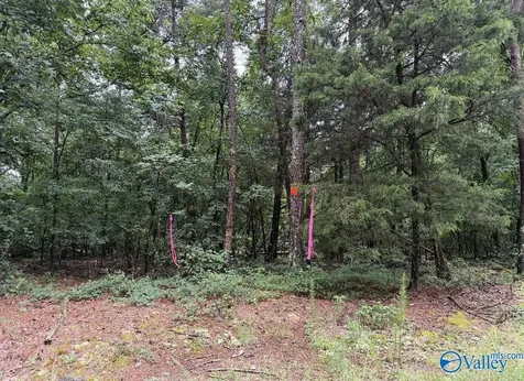 8 Acres Bishop Mountain Road Grant AL 35747