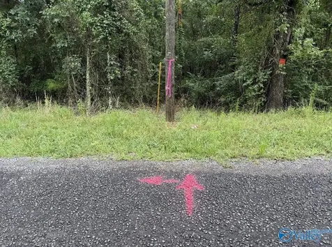 8 Acres Bishop Mountain Road Grant AL 35747