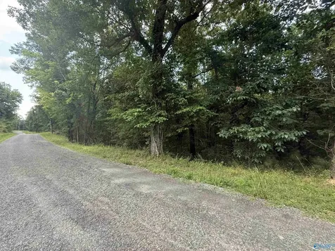 8 Acres Bishop Mountain Road Grant AL 35747