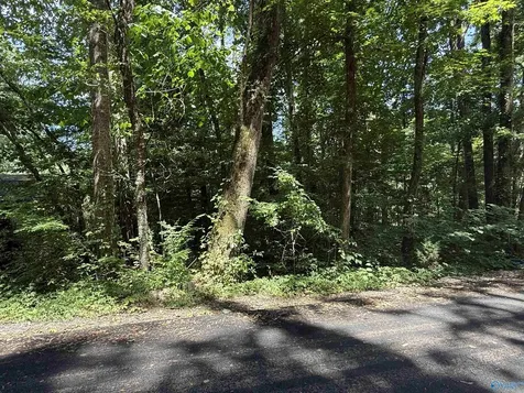 8 Acres Bishop Mountain Road Grant AL 35747