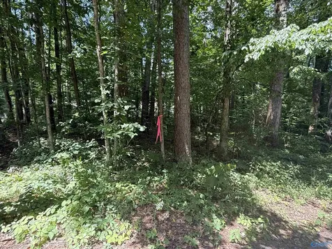 8 Acres Bishop Mountain Road Grant AL 35747
