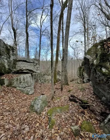 8 Acres Bishop Mountain Road Grant AL 35747