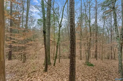 5615 Cherrywood Drive Guntersville AL 35976