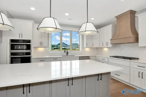105 Grand Springs Court Madison AL 35756
