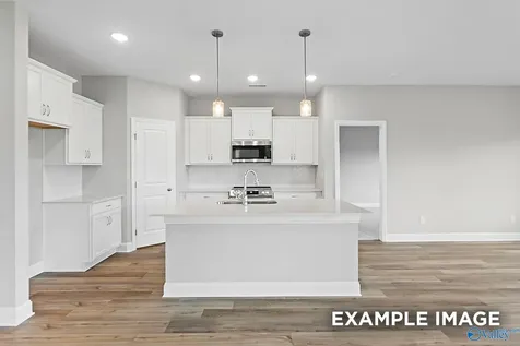 236 Irish Hill Drive Meridianville AL 35759