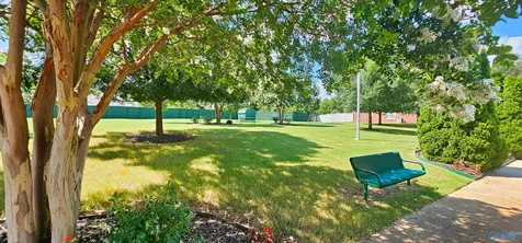 228 Cork Alley Madison AL 35758