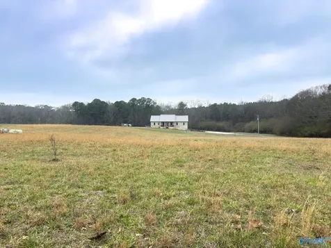 300 County Road 1749 Holly Pond AL 35083
