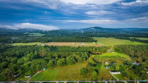 685 Piney Woods Road Owens Cross Roads AL 35763