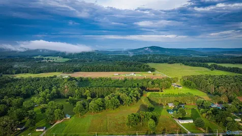685 Piney Woods Road Owens Cross Roads AL 35763