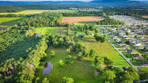 685 Piney Woods Road Owens Cross Roads AL 35763
