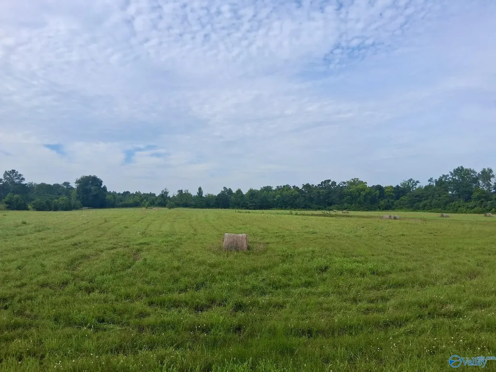 11 Acres Columbus City Road Grant AL 35747