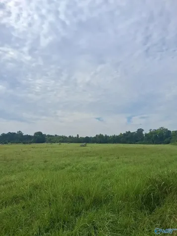 11 Acres Columbus City Road Grant AL 35747