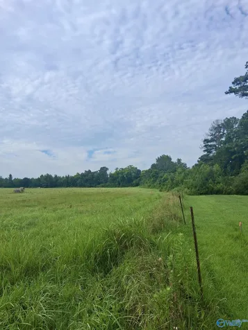 11 Acres Columbus City Road Grant AL 35747
