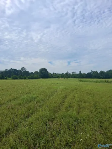 11 Acres Columbus City Road Grant AL 35747