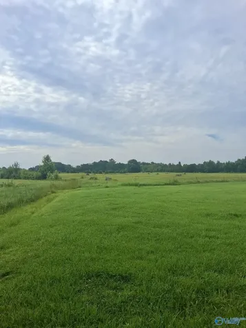 11 Acres Columbus City Road Grant AL 35747