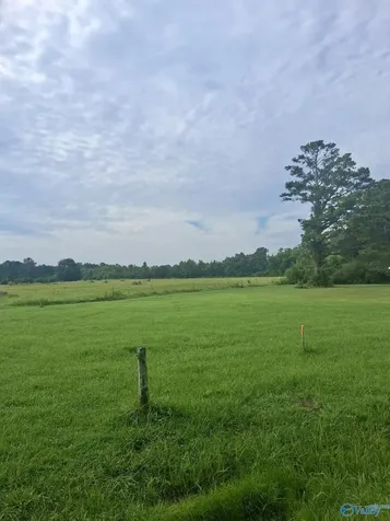 11 Acres Columbus City Road Grant AL 35747