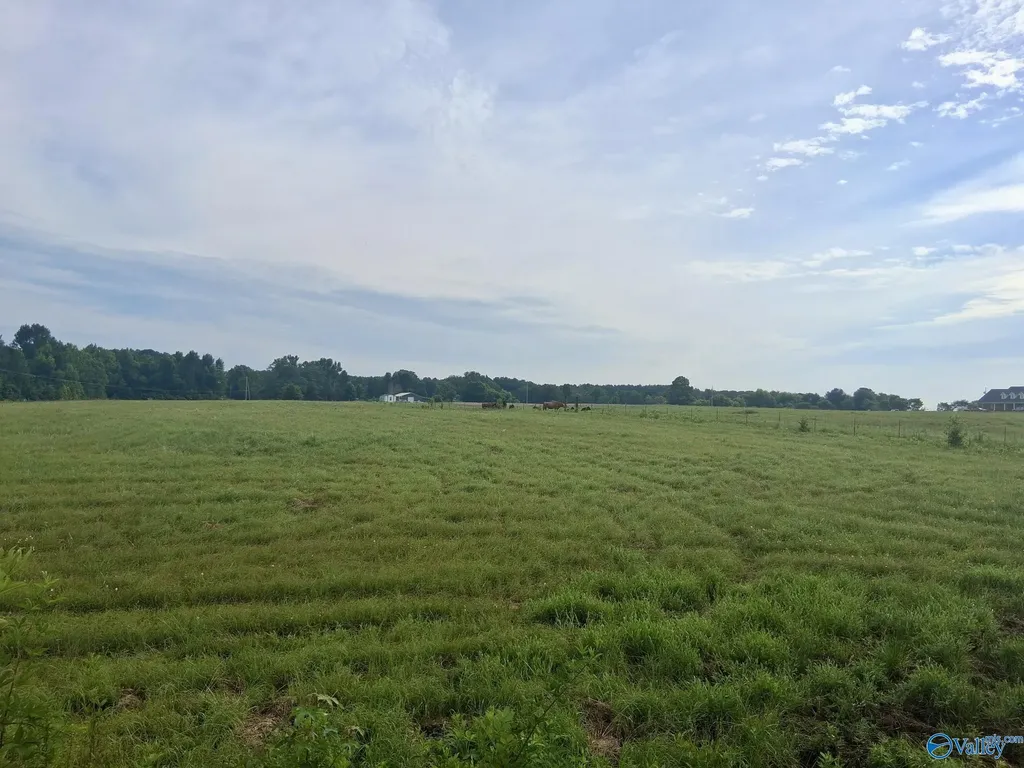6 Acres Columbus City Road Grant AL 35747
