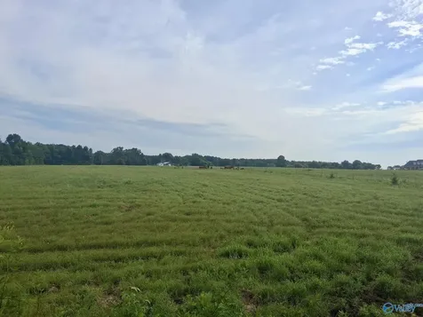 6 Acres Columbus City Road Grant AL 35747