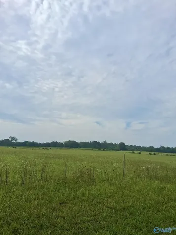 6 Acres Columbus City Road Grant AL 35747