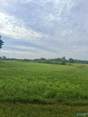 6 Acres Columbus City Road Grant AL 35747