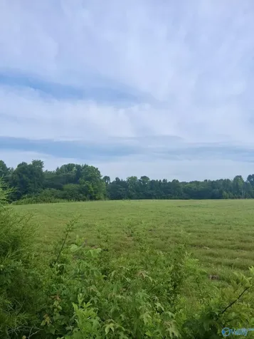 6 Acres Columbus City Road Grant AL 35747