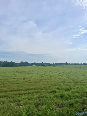 6 Acres Columbus City Road Grant AL 35747