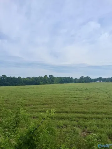 6 Acres Columbus City Road Grant AL 35747