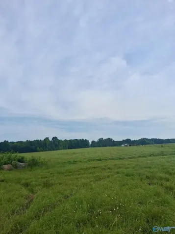6 Acres Columbus City Road Grant AL 35747