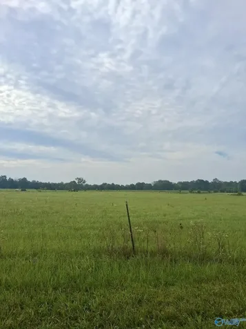 6 Acres Columbus City Road Grant AL 35747