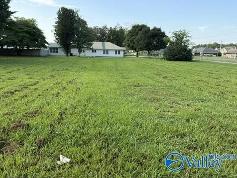 185 Joe Quick Road Hazel Green AL 35750