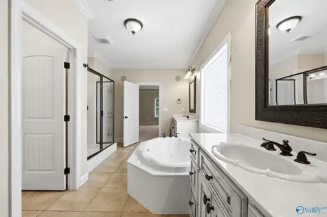 114 Crystal Springs Drive Madison AL 35757