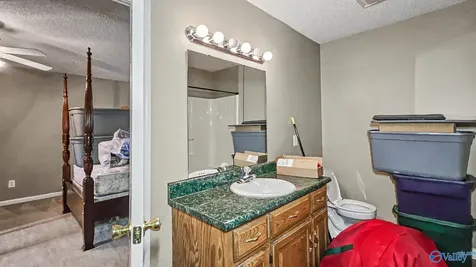 22926 Horseshoe Bend Athens AL 35611