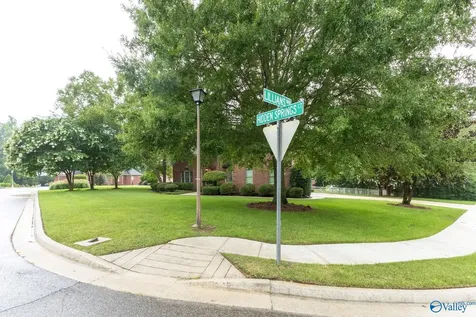 128 Lillians Way Madison AL 35758