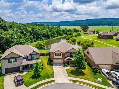 126 Edmund Circle New Market AL 35761