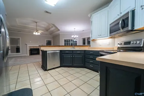 107 Lansdowne Drive Madison AL 35758