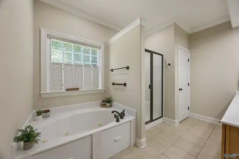 210 Waterbrook Lane Harvest AL 35749