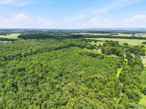 460 Jimmy Fisk Road Hazel Green AL 35750