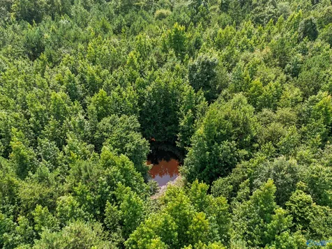 460 Jimmy Fisk Road Hazel Green AL 35750
