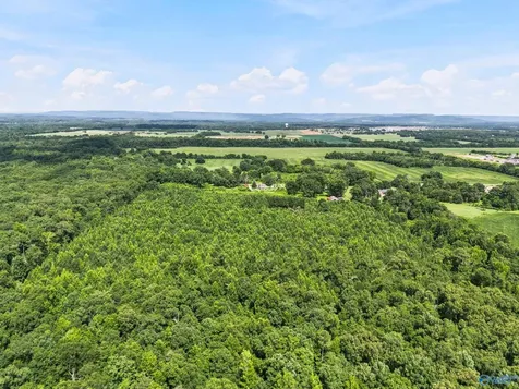 460 Jimmy Fisk Road Hazel Green AL 35750