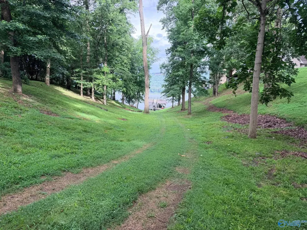 Lot 230 Lookout Mountain Drive Scottsboro AL 35769