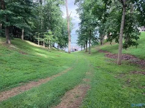 Lot 230 Lookout Mountain Drive Scottsboro AL 35769