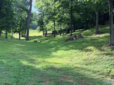 Lot 230 Lookout Mountain Drive Scottsboro AL 35769