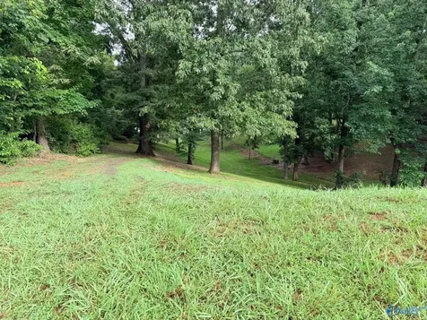 Lot 230 Lookout Mountain Drive Scottsboro AL 35769