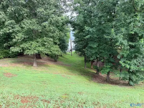 Lot 230 Lookout Mountain Drive Scottsboro AL 35769