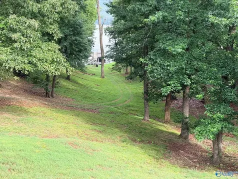 Lot 230 Lookout Mountain Drive Scottsboro AL 35769
