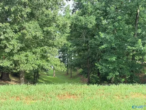 Lot 230 Lookout Mountain Drive Scottsboro AL 35769