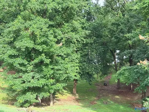 Lot 230 Lookout Mountain Drive Scottsboro AL 35769