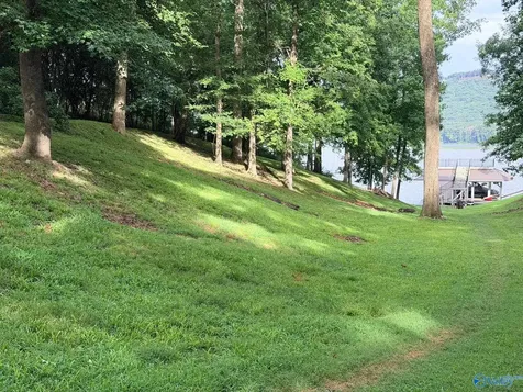 Lot 230 Lookout Mountain Drive Scottsboro AL 35769